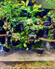 Hồ bán cạn - Hồ thiêng vân ảnh - Hồ bán cạn nghệ thuật