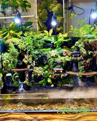 Hồ bán cạn - Hồ thiêng vân ảnh - Hồ bán cạn nghệ thuật