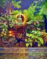 Hồ bán cạn - Minh thác tịnh Uyên – Thác nước & tượng Phật thiền tịnh