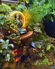 Hồ bán cạn - Minh thác tịnh Uyên – Thác nước & tượng Phật thiền tịnh