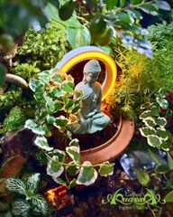 Hồ bán cạn - Minh thác tịnh Uyên – Thác nước & tượng Phật thiền tịnh