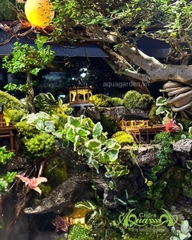 Hồ bán cạn - Trăng vàng cổ trấn