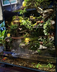 Hồ bán cạn - Trăng vàng cổ trấn