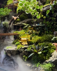 Hồ bán cạn - Trăng vàng cổ trấn