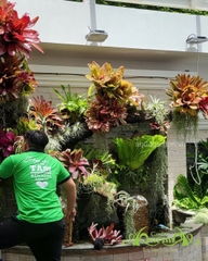 “Long Tịnh Đàm” – Sắc Dứa Nam Mỹ & Tóc Tiên Không Khí