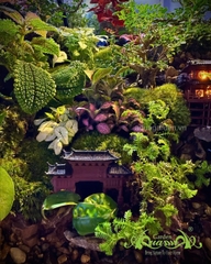 Hồ bán cạn – Tịnh cư sơn thôn | Tiểu cảnh thiên nhiên thu nhỏ mang nét an yên