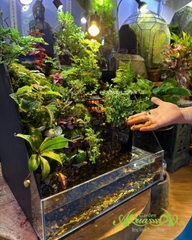 Hồ bán cạn – Tịnh cư sơn thôn | Tiểu cảnh thiên nhiên thu nhỏ mang nét an yên