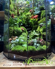 Terrarium 398 - “Tịnh Lộ Viên Minh” – Không gian thiền tĩnh | AquaGarden