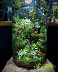 Terrarium 398 - “Tịnh Lộ Viên Minh” – Không gian thiền tĩnh | AquaGarden