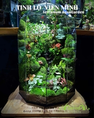 Terrarium 398 - “Tịnh Lộ Viên Minh” – Không gian thiền tĩnh | AquaGarden