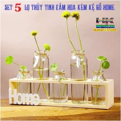 SET 5 LỌ THỦY TINH CẮM HOA KÈM KỆ GỖ HOME