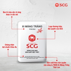 Xi Măng Trắng SCG – Giải Pháp Hoàn Hảo Cho Công Trình Hoàn Mỹ