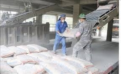 Tìm hiểu về xi măng: Thành phần, phân loại và ứng dụng