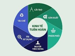 Tái chế xi măng và xu hướng kinh tế tuần hoàn