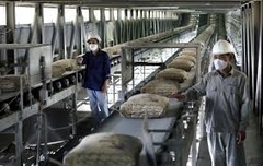 Dự báo tiêu thụ nghành xi măng quý 1 năm 2025
