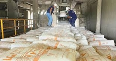 Xuất khẩu xi măng 8 tháng đầu năm 2024