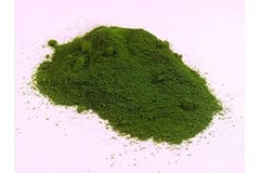 Xi măng xanh – Giải pháp bền vững cho tương lai xây dựng