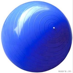 Bóng tập Yoga Gym Ball