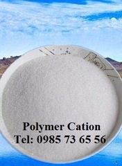 bán Polymer cationic, Polymer C525H, chất trợ lắng cation, CPAM