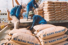 Xi măng