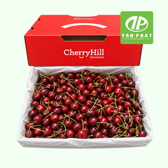 In hộp giấy đựng cherry theo yêu cầu