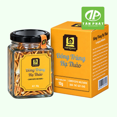 In hộp giấy dược phẩm