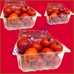 Hộp nhựa đựng trái cây 1kg (P1000B)