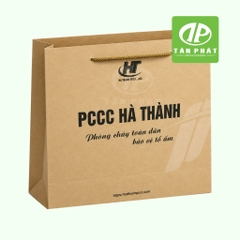 In túi giấy doanh nghiệp – sự kiện theo yêu cầu