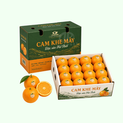 Sản xuất thùng carton đựng cam