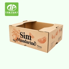 Sản xuất thùng giấy carton theo yêu cầu