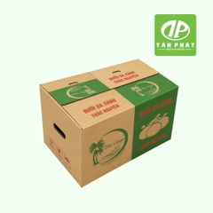 Sản xuất thùng carton đựng trái cây