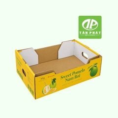 Sản xuất thùng carton đựng trái cây