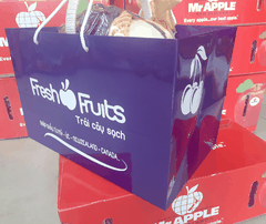Túi giấy đựng giỏ hoa quả đẹp bán sẵn