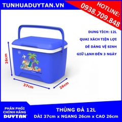 Thùng đá Duy Tân 12L (Dương)