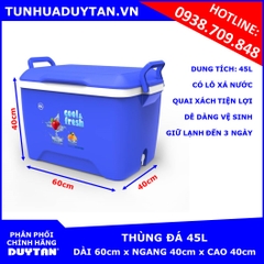 Thùng đá Duy Tân 45L (Dương)