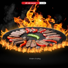 Bếp Điện Quang 2008 - Công suất 2000W - Bảo hành 1 năm