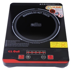 Bếp Điện Quang GL-2006