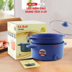 Lẩu điện 1209 - 4 Lít - Bảo hành 1 năm