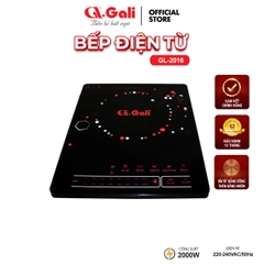 Bếp từ GL-2016