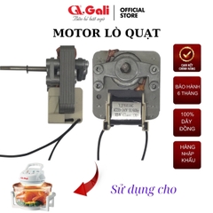 Motor quạt lò nướng thủy tinh