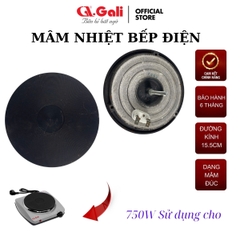 Mâm nhiệt bếp điện dạng đúc loại lớn