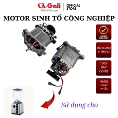 Motor Sinh Tố Công Nghiệp 1520