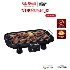 Vĩ nướng điện GL-5000