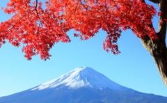 Tour mùa thu lá đỏ từ Tokyo --> Núi Phú sĩ --> Nagoya --> Kyoto --> Osaka --> Kobe --> Vietnam (6 Ngày 5 Đêm)