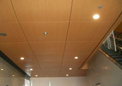 Trần 3D đục lỗ