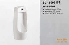 BL - 500315B