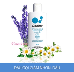 Dầu gội cho da đầu nhờn, dầu Caditar Shampoo Greasy hair 150ml