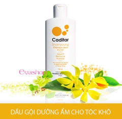 Dầu gội dưỡng ẩm cho da đầu khô Caditar Shampoo Dry hair 150ml