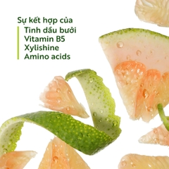 Dầu gội bưởi Cocoon Pomelo Shampoo giúp giảm gãy rụng, làm mềm tóc