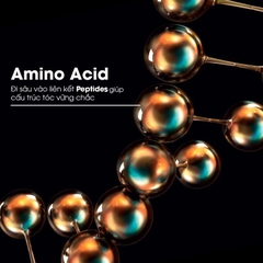 Dầu gội L'Oréal Professionnel phục hồi Peptides cho tóc hư tổn Absolut Repair Molecular Shampoo